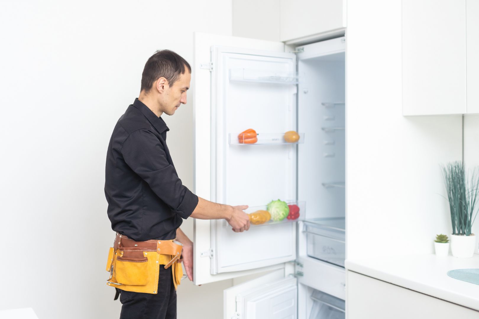 Geladeira Velha Gasta Mais Energia Descubra Toda a Verdade