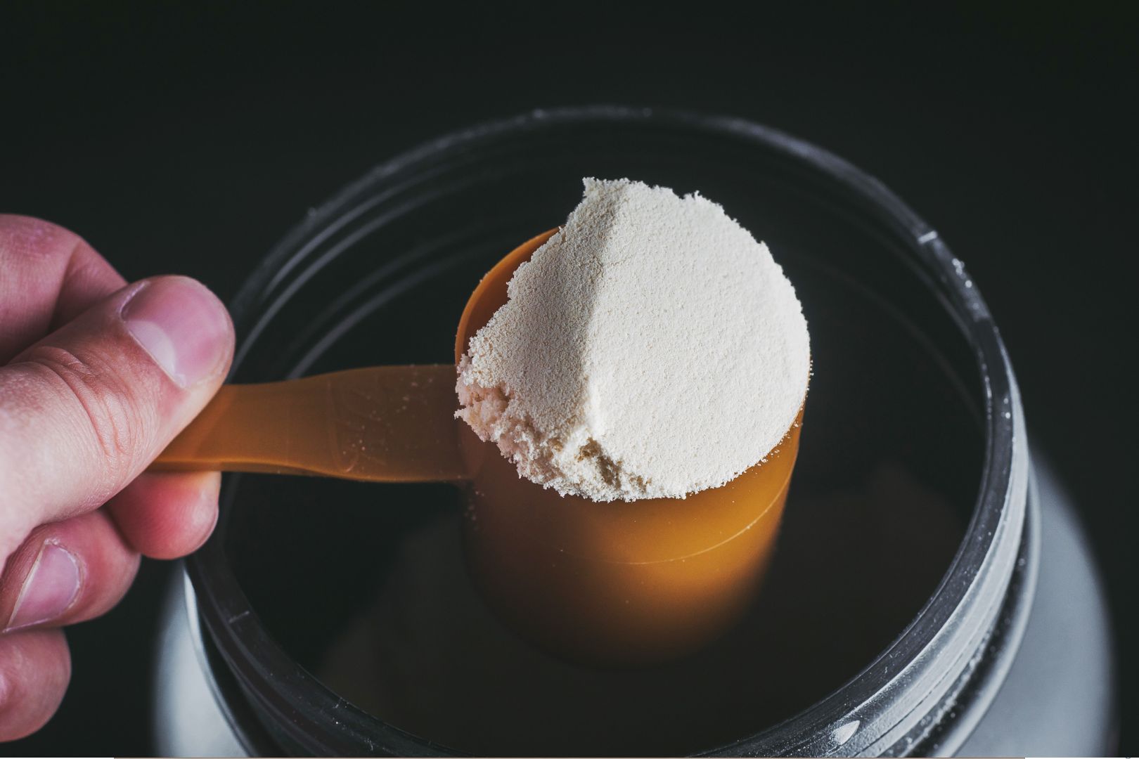 whey protein ou creatina monohidratada 1